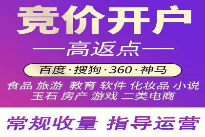 某某SEM公司：一则关于搜索引擎营销的经典成功案例