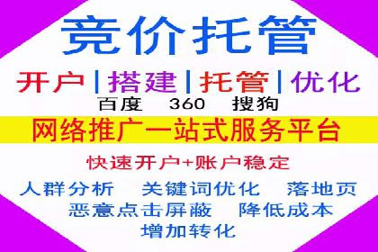 竞价广告与自然搜索的结合策略：XX网站的案例分析